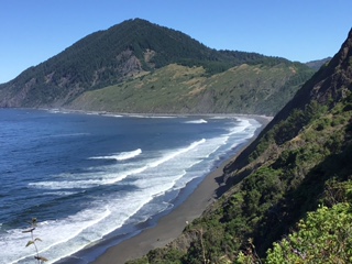 Janis Gloystein - Profile Photo